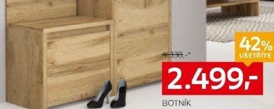 BOTNÍK