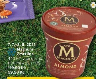 Zmrzlina v kelímku Magnum Algida