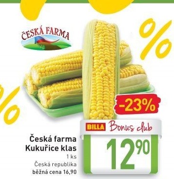 Kukuřice klas Česká farma