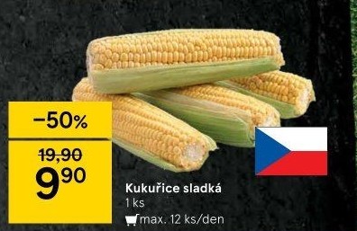 Kukuřice klas