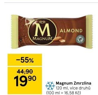 Nanuk Magnum Algida