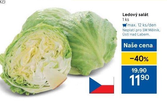 Salát ledový