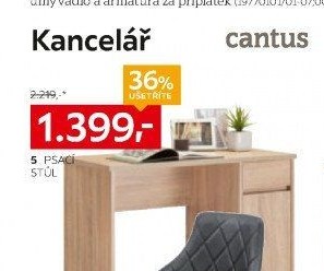 PSACÍ STŮL