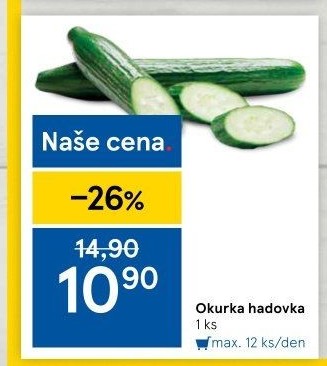 Okurka hadovka