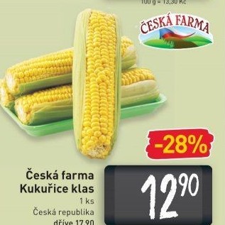 Kukuřice klas Česká farma
