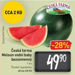Meloun vodní baby bezsemenný Česká farma