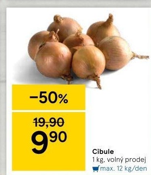 Cibule kuchyňská žlutá