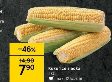 Kukuřice klas