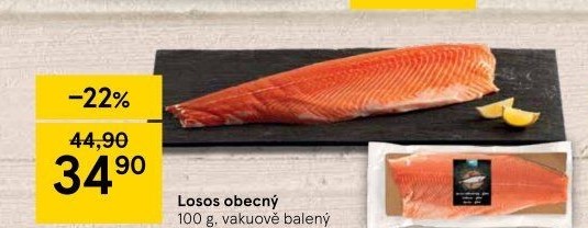 Losos obecný
