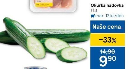 Okurka hadovka
