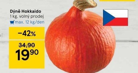 Dýně Hokkaidó