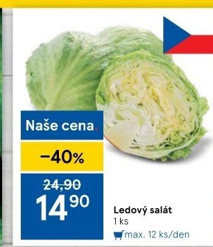 Salát ledový