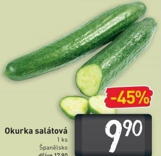 Okurka hadovka