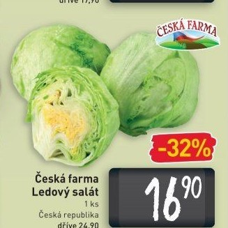 Salát ledový Česká farma