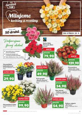 akční leták Kaufland 29.9.2021-5.10.2021