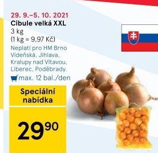 Cibule kuchyňská žlutá