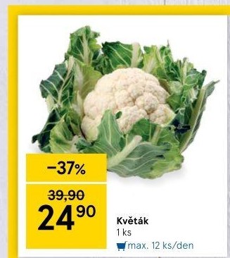 Květák