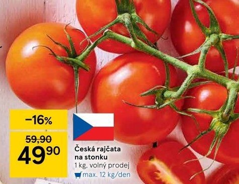 Rajčata keříková