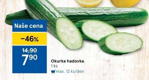 Okurka hadovka