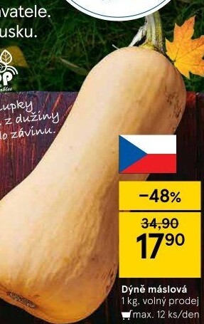 Dýně máslová