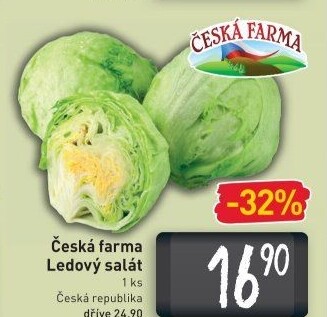 Salát ledový Česká farma