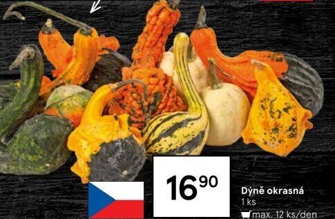 Okrasná dýně