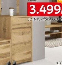 BOTNÍK