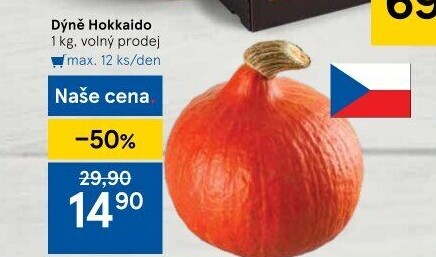 Dýně Hokkaidó