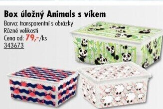 Box s víkem Rojalplast