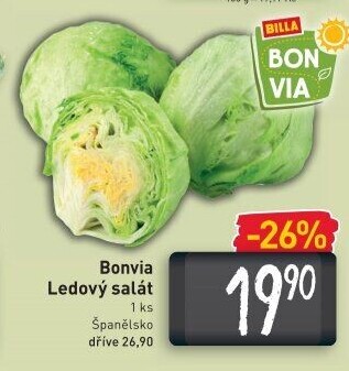 Salát ledový Billa Bonvia