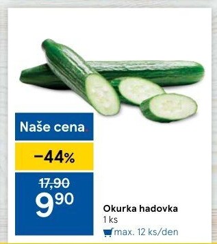 Okurka hadovka