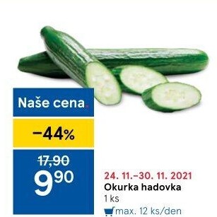 Okurka hadovka