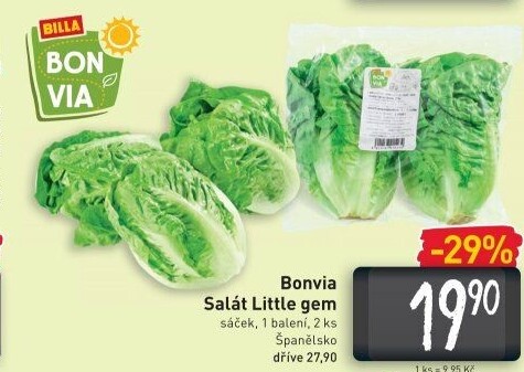 Salát little gem Billa Bonvia