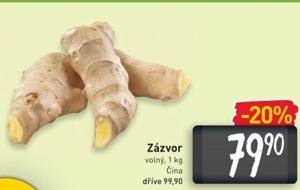 Zázvor čerstvý