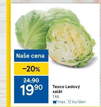 Salát ledový Tesco