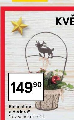 Květinové aranžmá