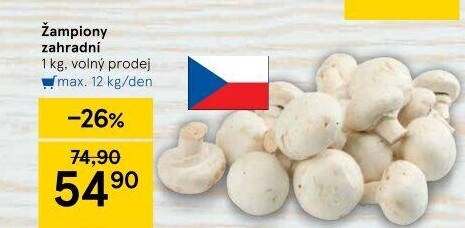 Žampiony zahradní
