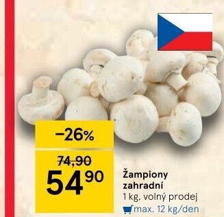 Žampiony zahradní
