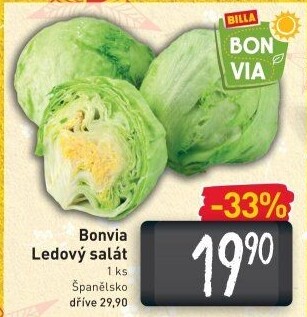 Salát ledový Billa Bonvia