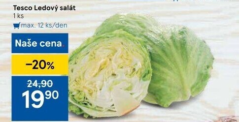 Salát ledový Tesco