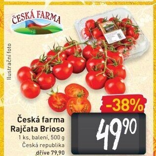 Rajčata keříková Česká farma