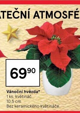 Vánoční hvězda