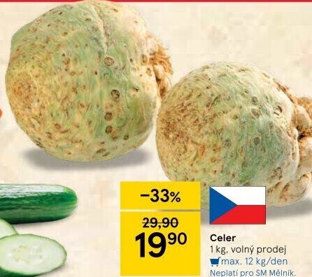 Celer bulva