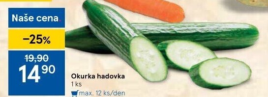 Okurka hadovka