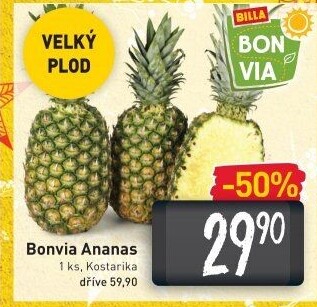Ananas Billa Bonvia