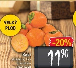 Kaki
