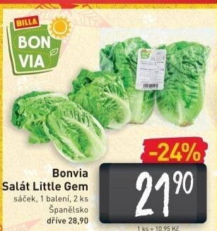 Salát little gem Billa Bonvia
