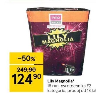 Ohňostroje Lily Magnolia Pyro Point
