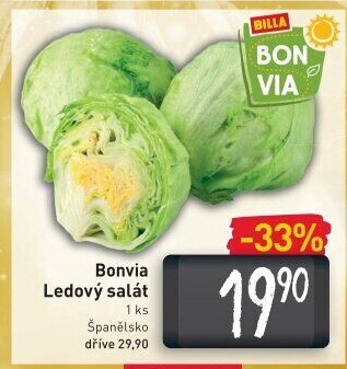 Salát ledový Billa Bonvia
