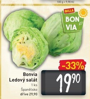 Salát ledový Billa Bonvia